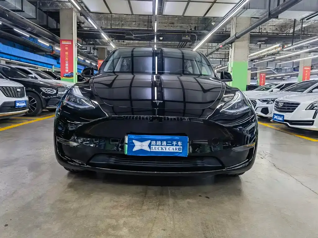 Tesla Model Y — фото 5