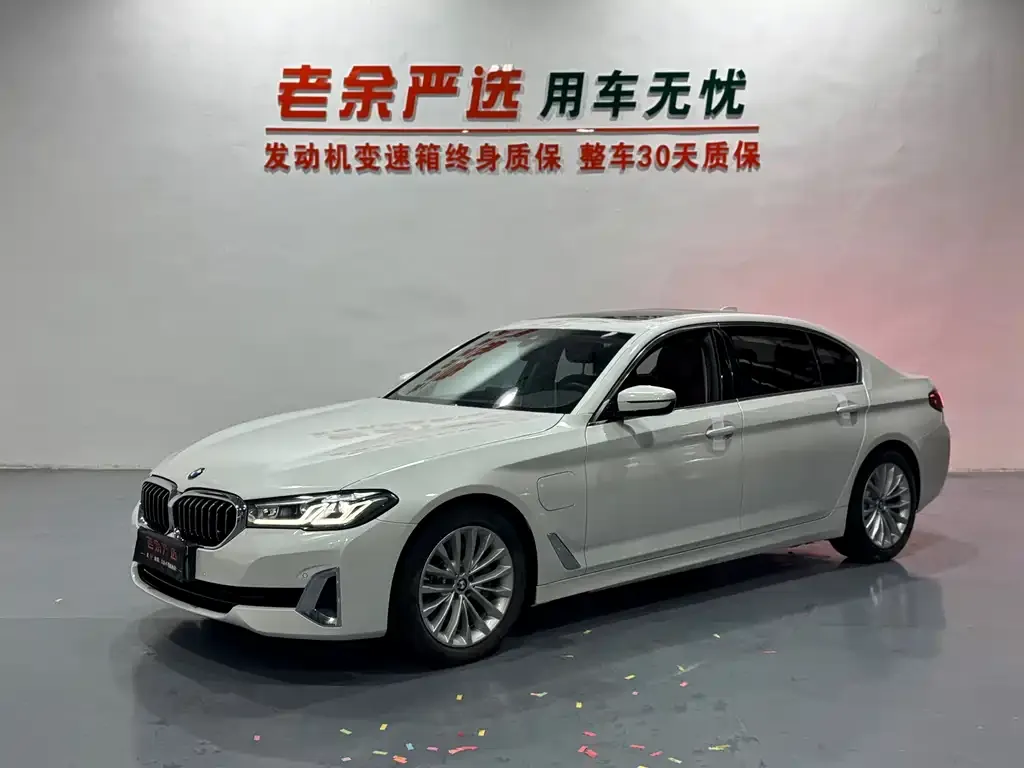 BMW 5 Series New Energy 535Le Luxury 1