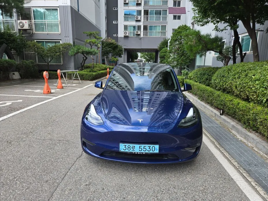 Tesla Model Y — фото 10