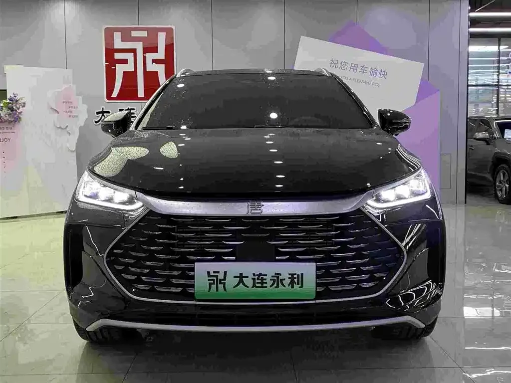 BYD Tang New Energy — фото 10