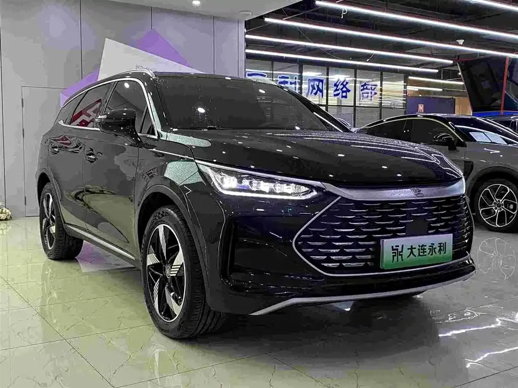 BYD Tang New Energy — фото 5