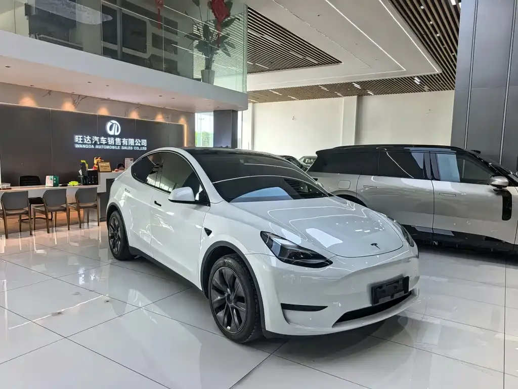 Tesla Model Y — фото 2
