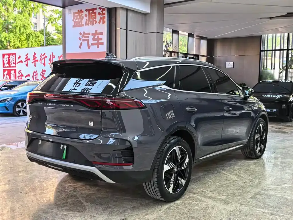 BYD Tang New Energy — фото 2