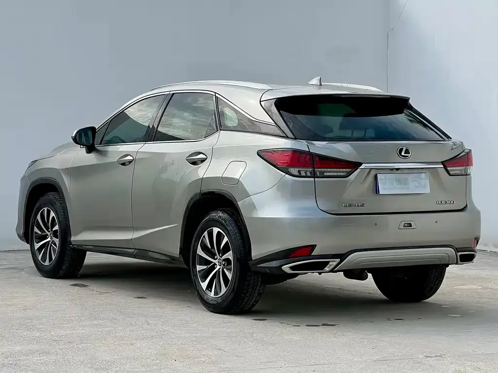 Lexus RX — фото 10