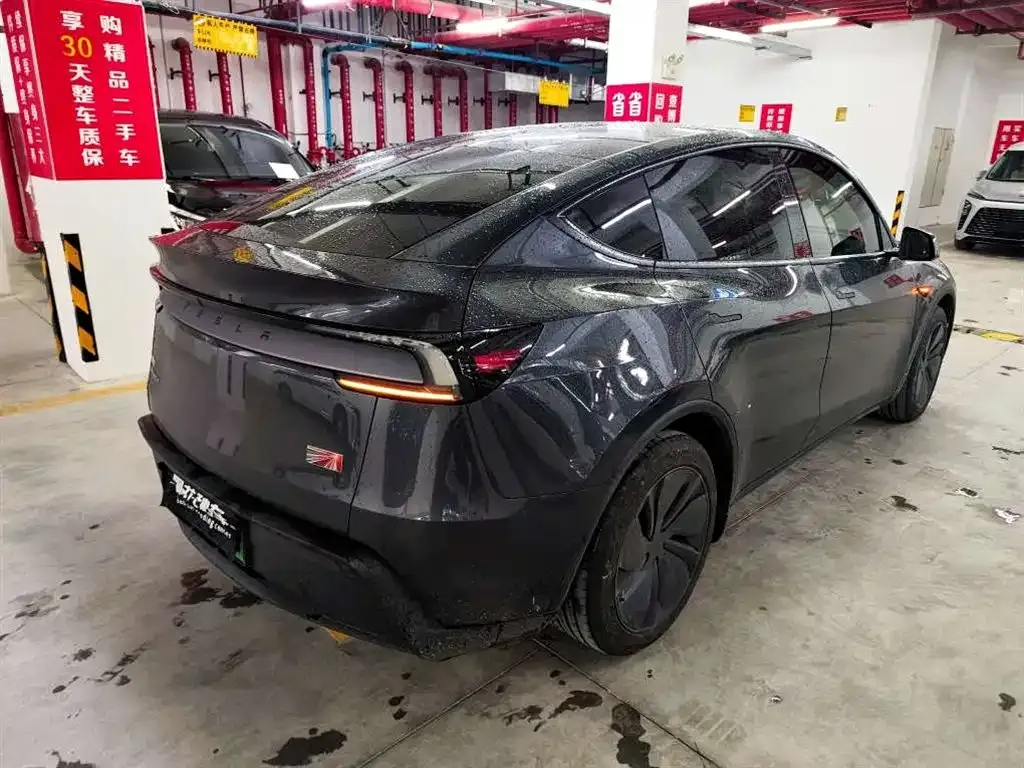 Tesla Model Y — фото 6