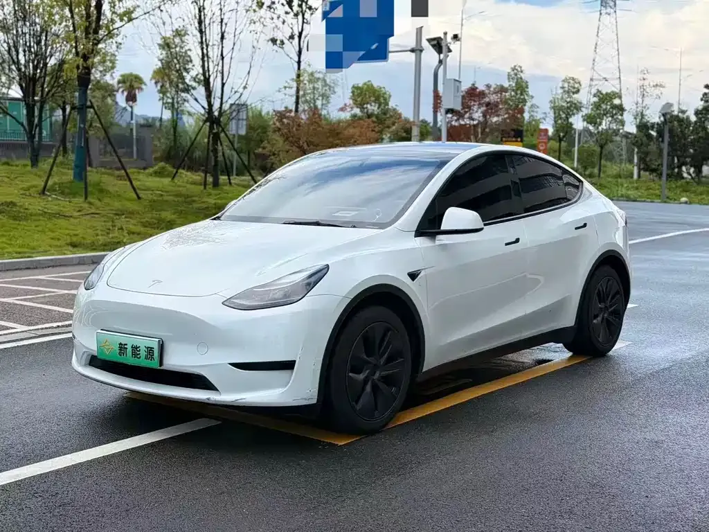 Tesla Model Y — фото 1