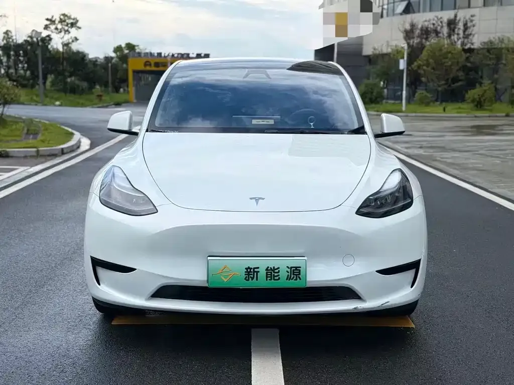 Tesla Model Y — фото 3