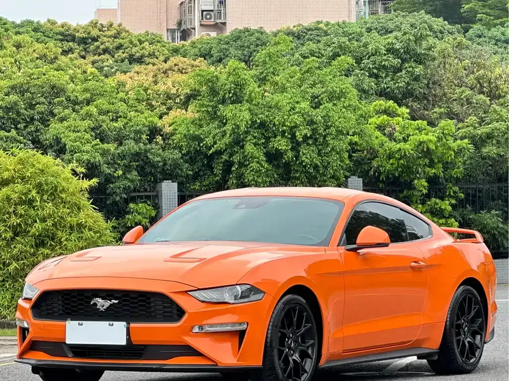 Ford Mustang — фото 1