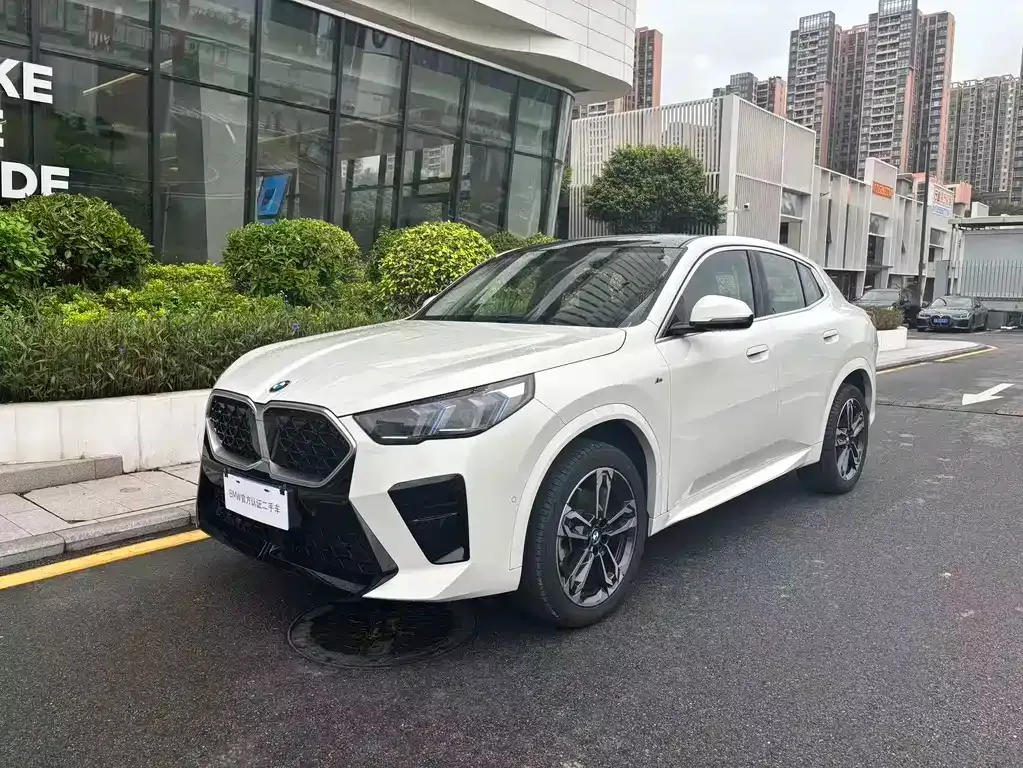 BMW X2 (Import) — фото 1