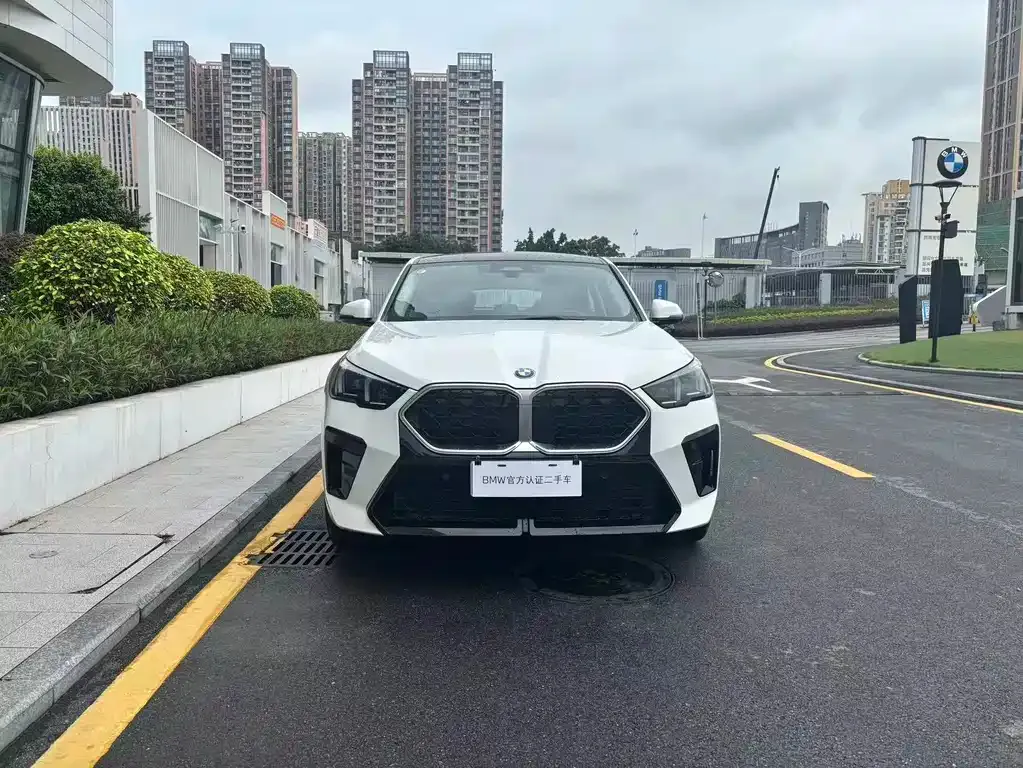 BMW X2 (Import) — фото 6