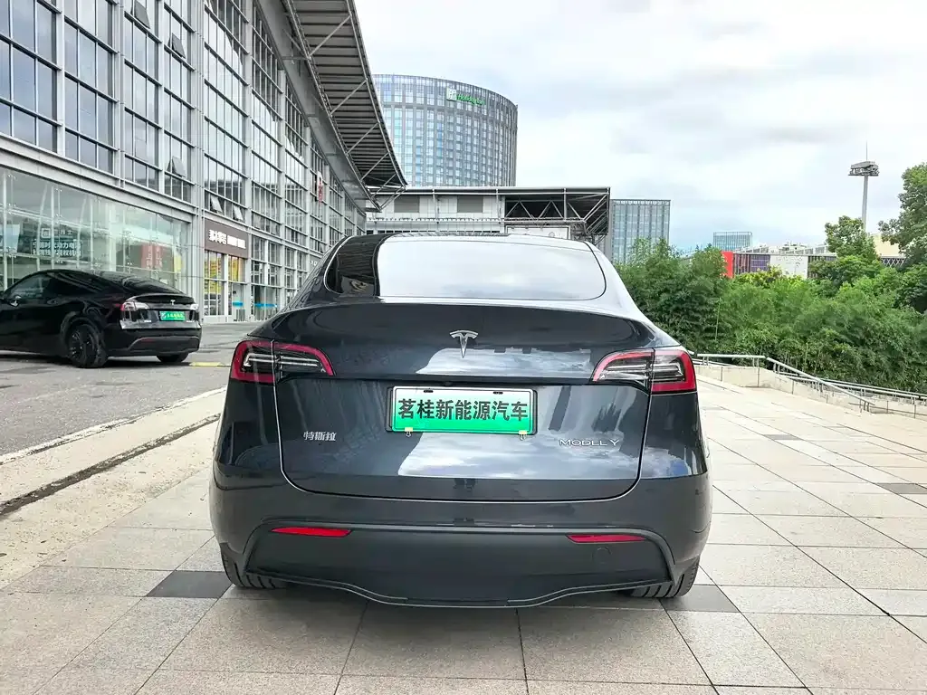 Tesla Model Y — фото 8