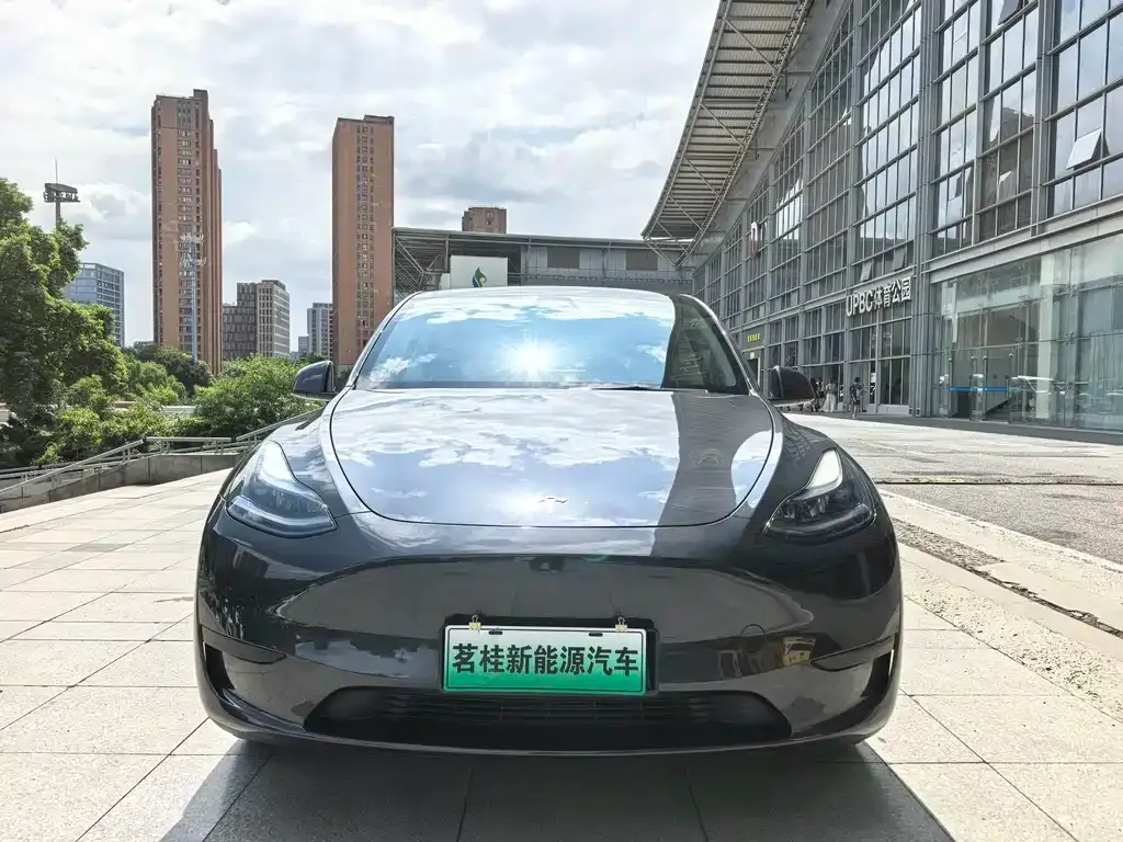 Tesla Model Y — фото 5
