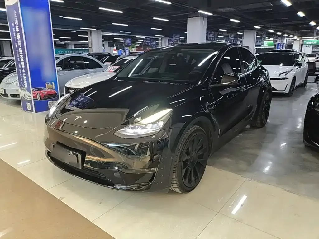 Tesla Model Y — фото 9