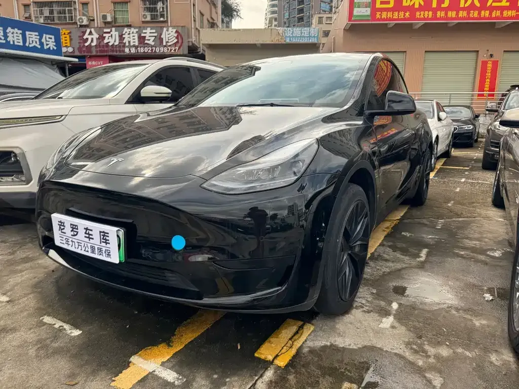Tesla Model Y — фото 1