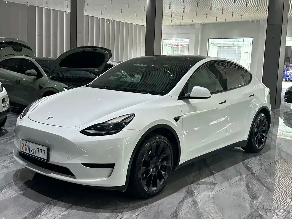 Tesla Model Y — фото 1