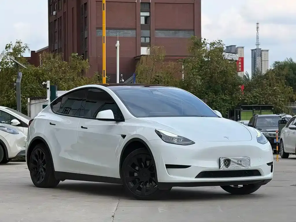 Tesla Model Y — фото 6
