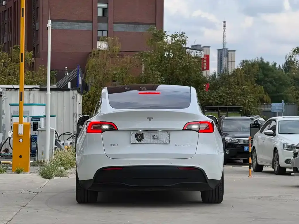 Tesla Model Y — фото 3