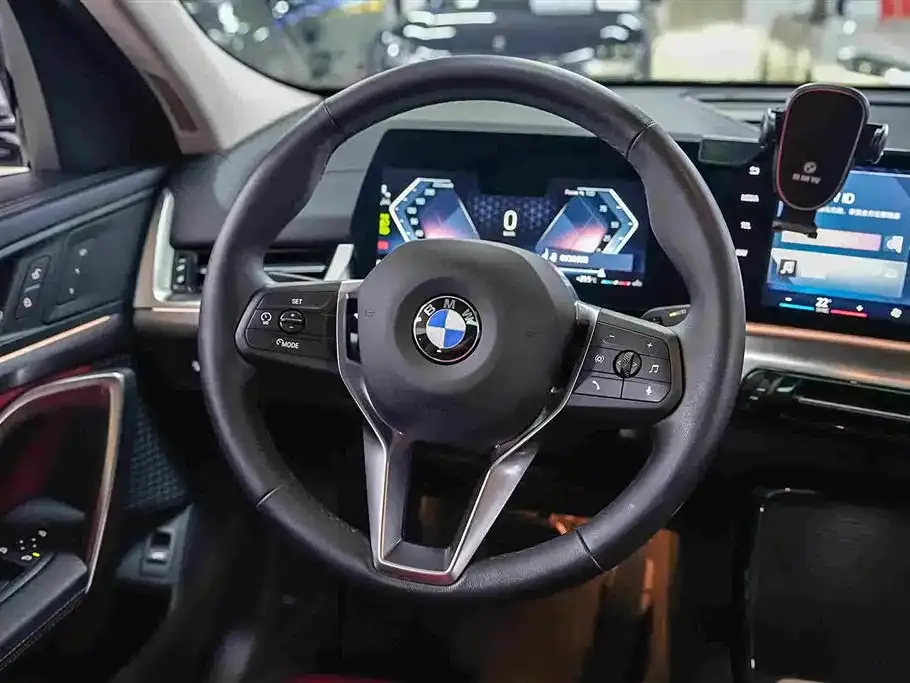 BMW X2 (Import) — фото 10