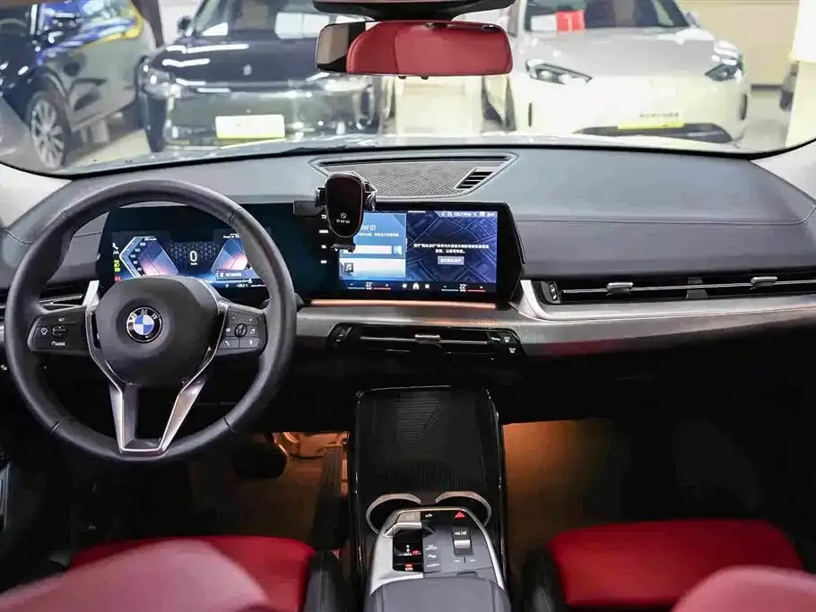 BMW X2 (Import) — фото 6