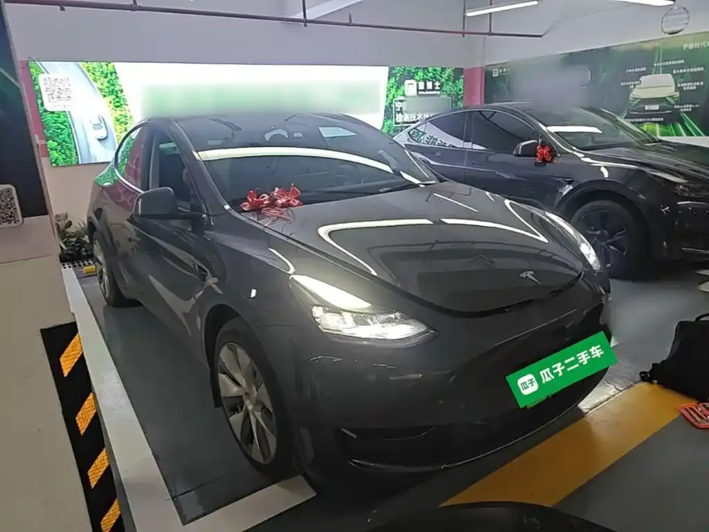 Tesla Model Y — фото 9