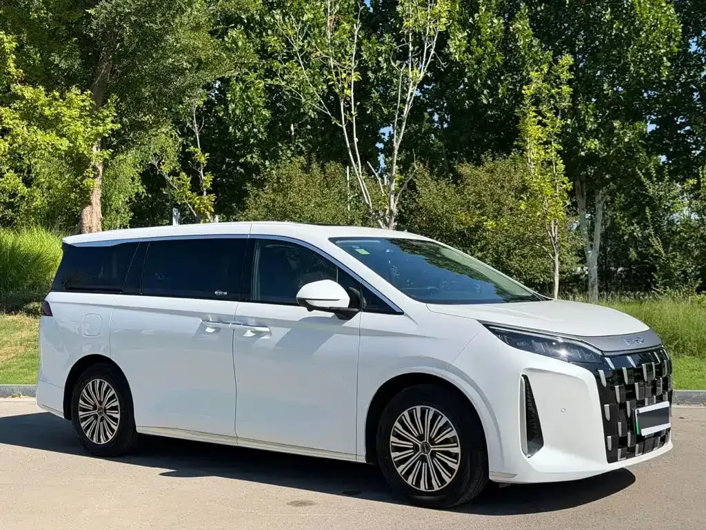 BYD M9 — фото 2