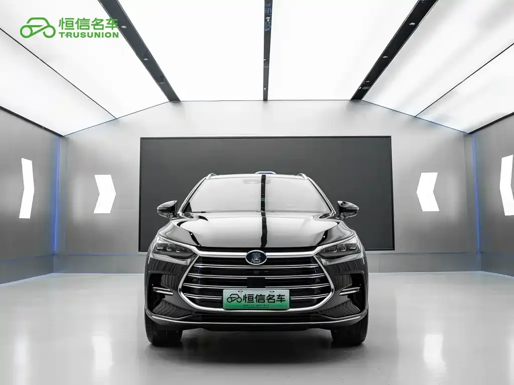 BYD Tang New Energy — фото 7