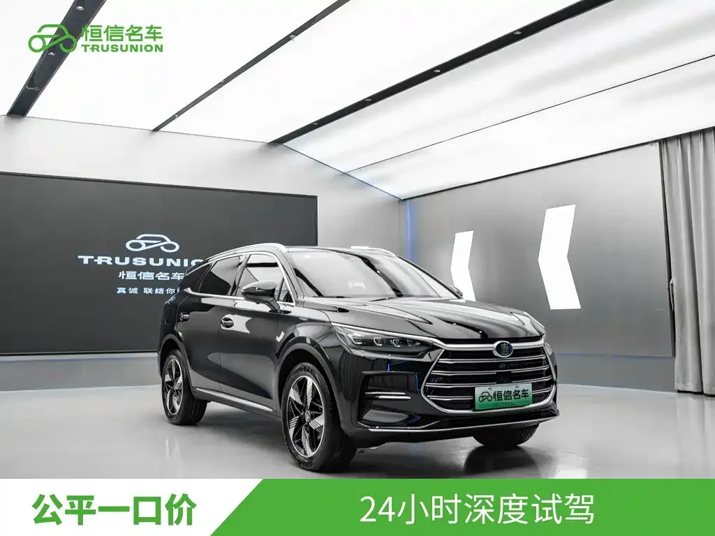 BYD Tang New Energy — фото 9