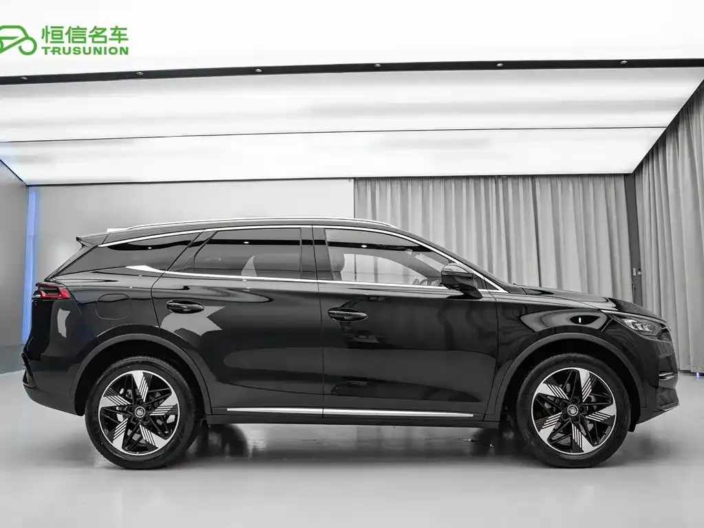 BYD Tang New Energy — фото 3