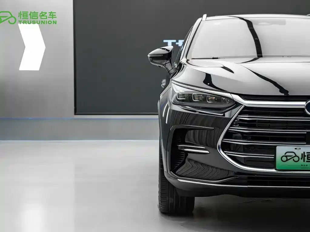 BYD Tang New Energy — фото 2