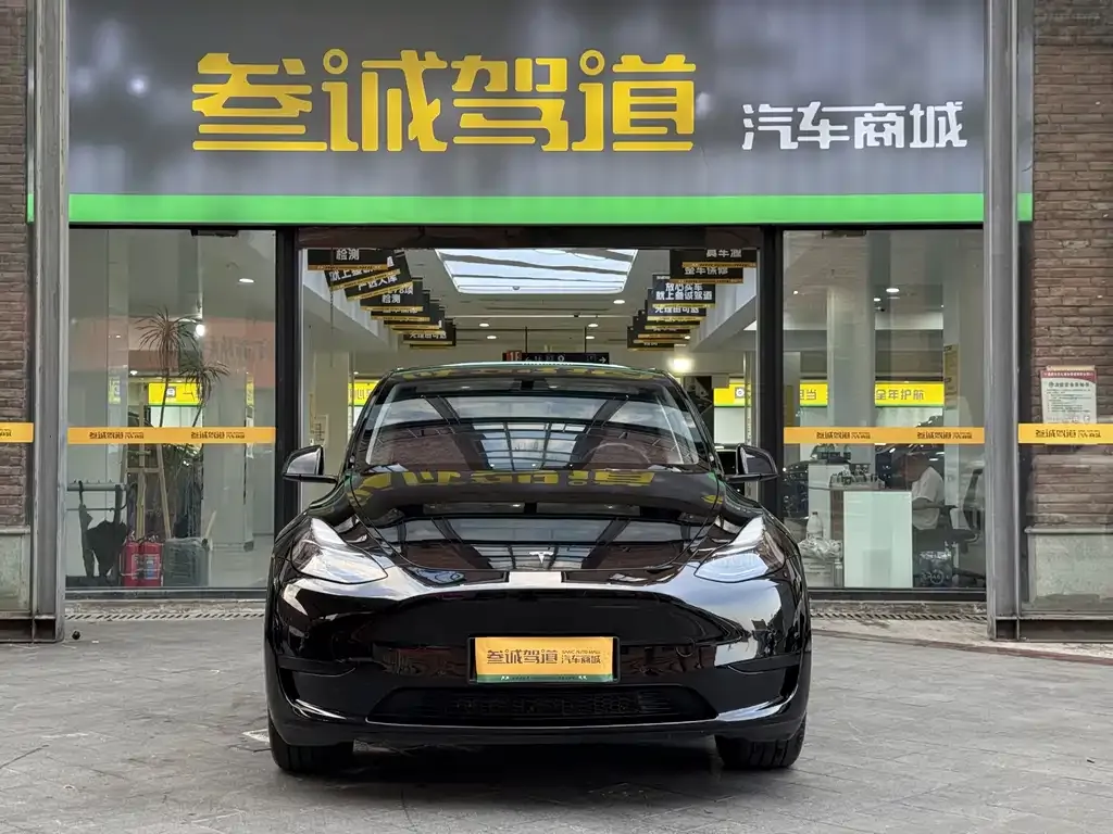 Tesla Model Y — фото 4