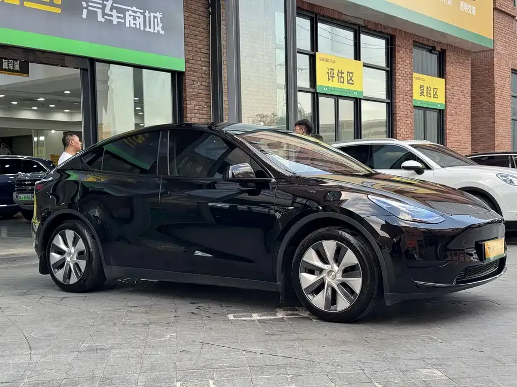Tesla Model Y — фото 10