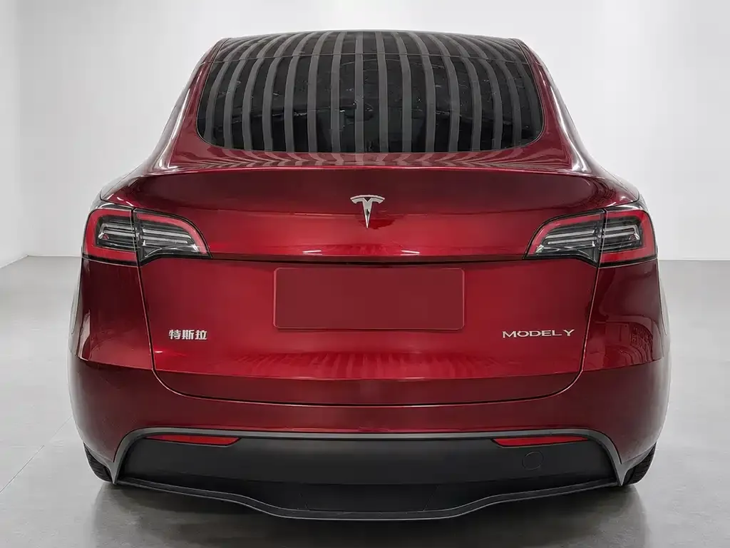 Tesla Model Y — фото 5
