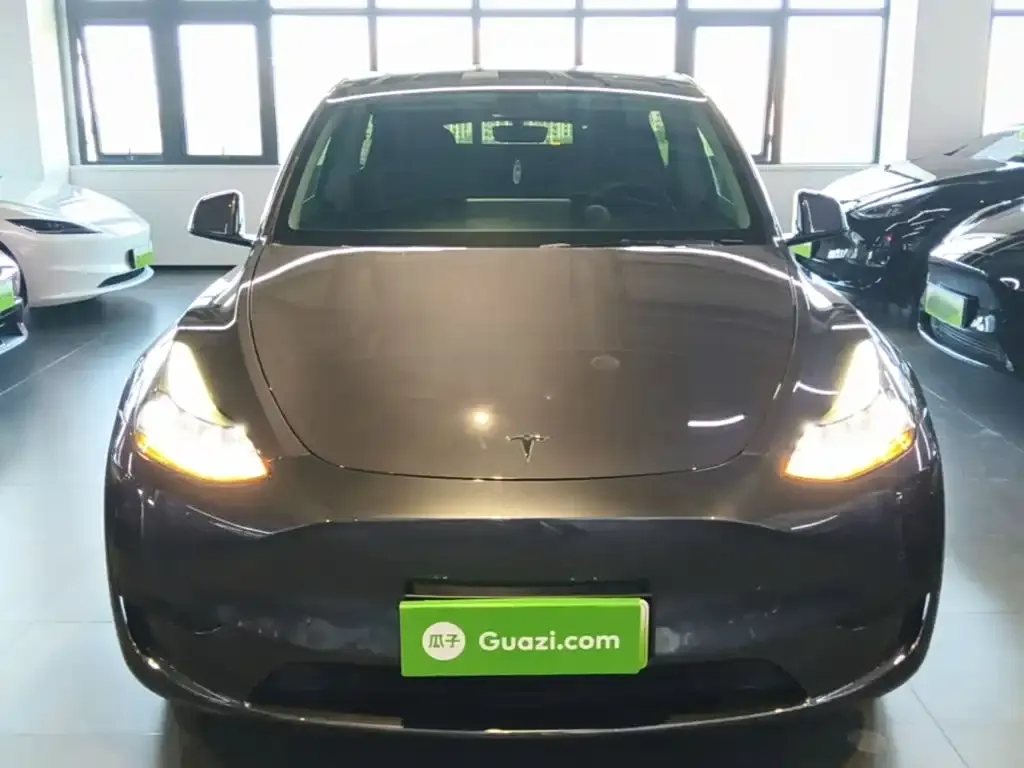 Tesla Model Y — фото 2