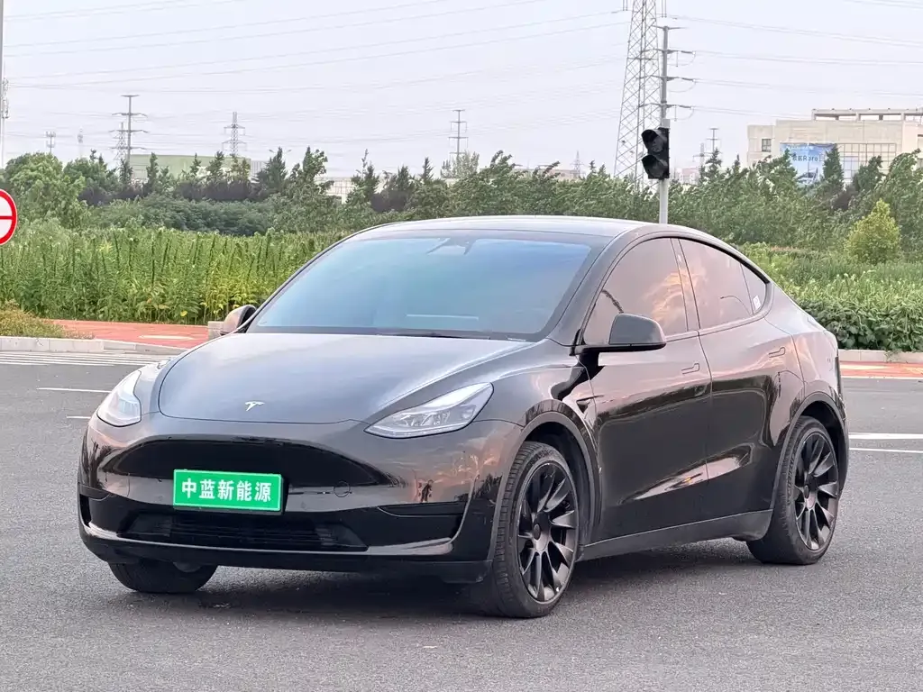 Tesla Model Y — фото 1