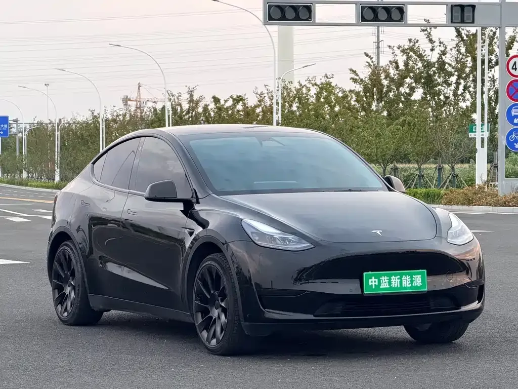 Tesla Model Y — фото 5