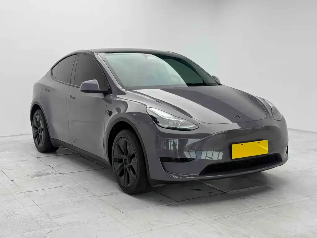 Tesla Model Y — фото 9