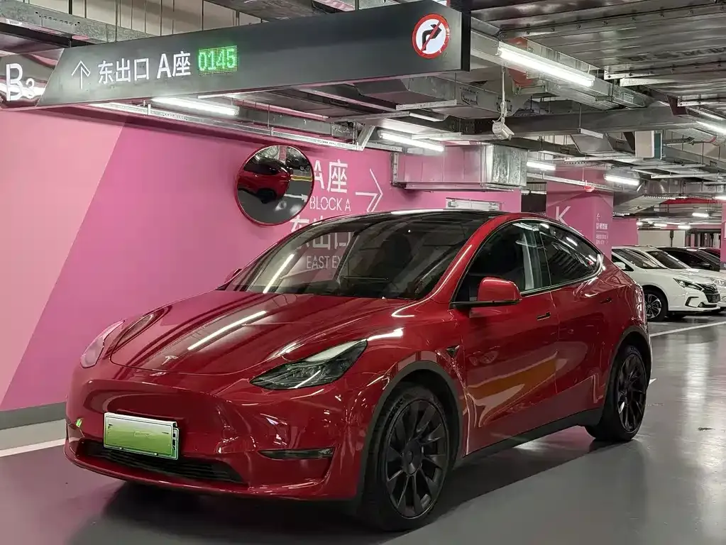Tesla Model Y — фото 1