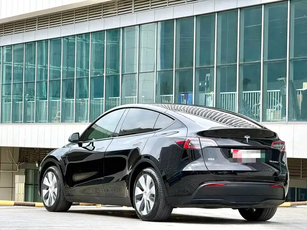 Tesla Model Y — фото 8