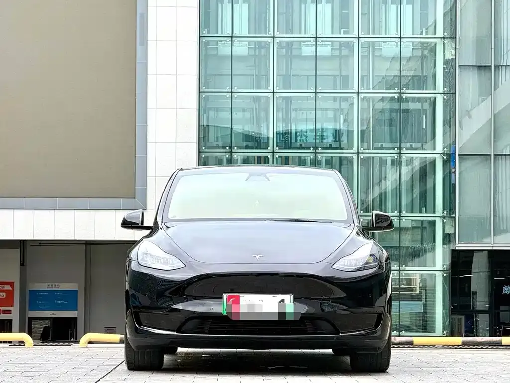 Tesla Model Y — фото 2