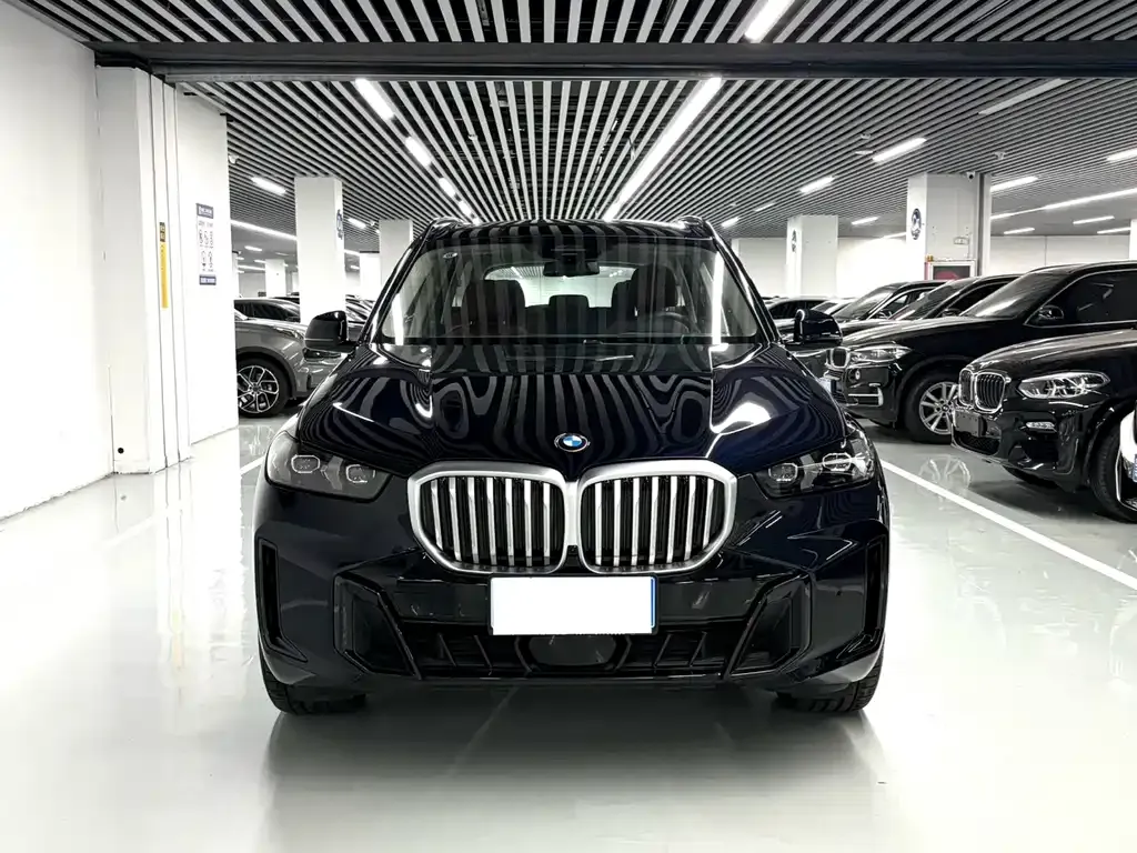 BMW X5 — фото 5