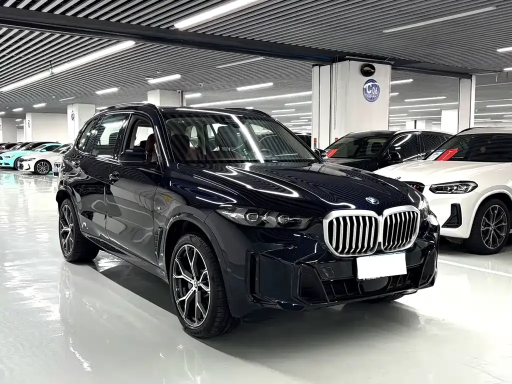BMW X5 — фото 2