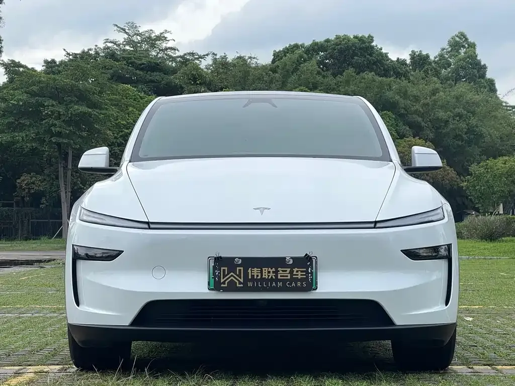 Tesla Model Y — фото 10