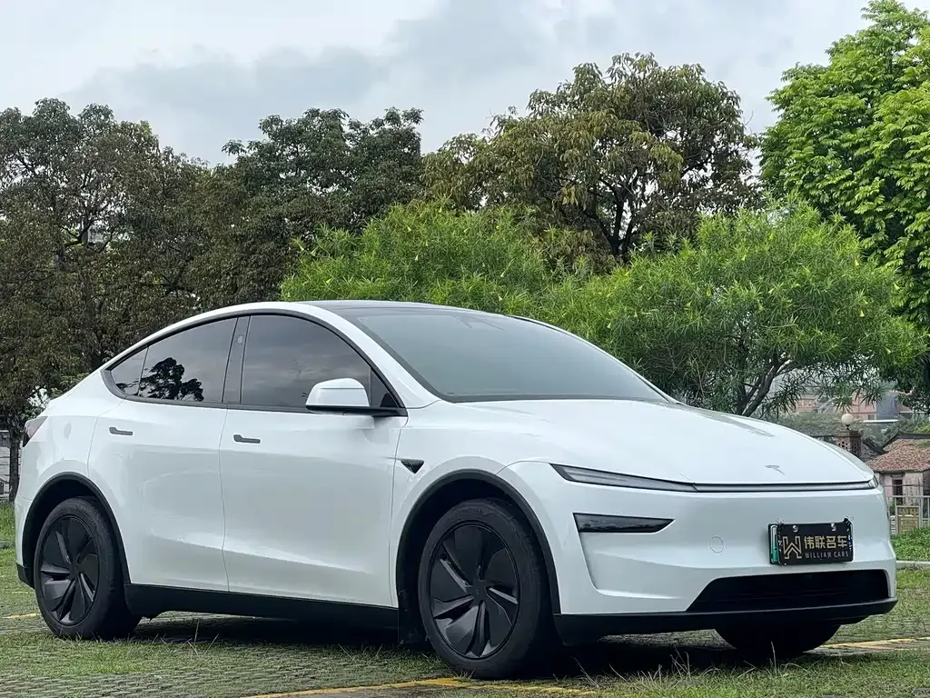 Tesla Model Y — фото 5