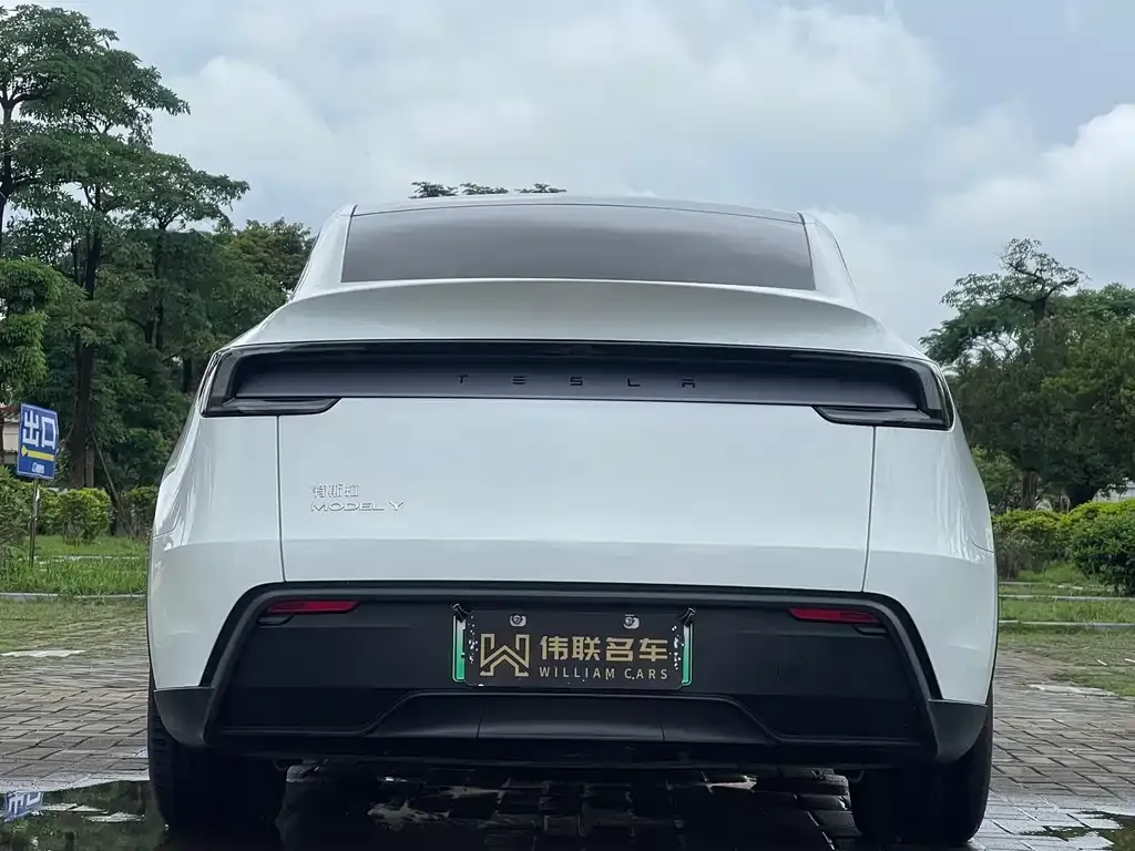 Tesla Model Y — фото 9