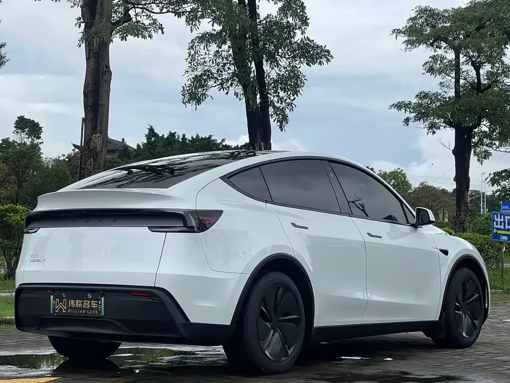 Tesla Model Y — фото 6