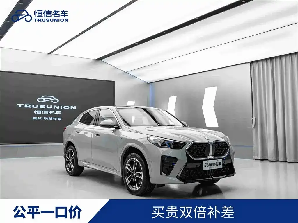 BMW X2 (Import) — фото 1