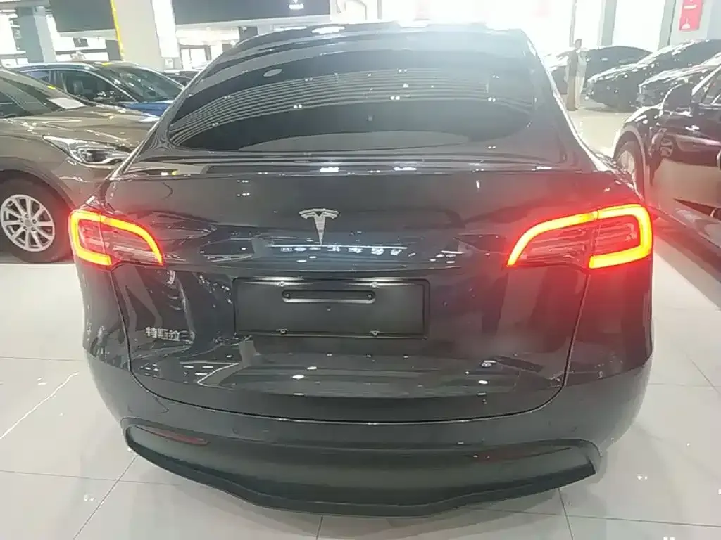 Tesla Model Y — фото 4