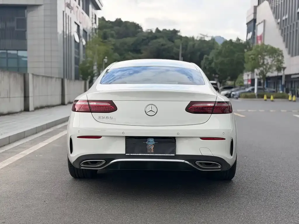 Mercedes-Benz E-Class (Import) — фото 8