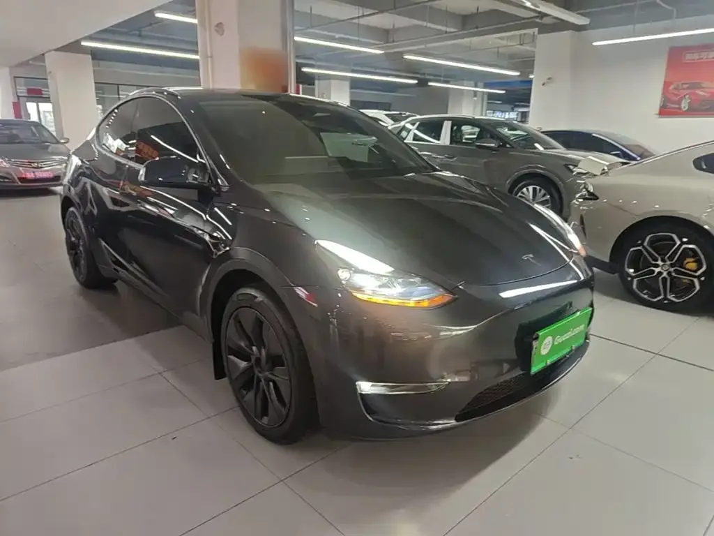 Tesla Model Y — фото 3