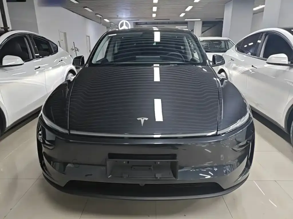 Tesla Model Y — фото 6